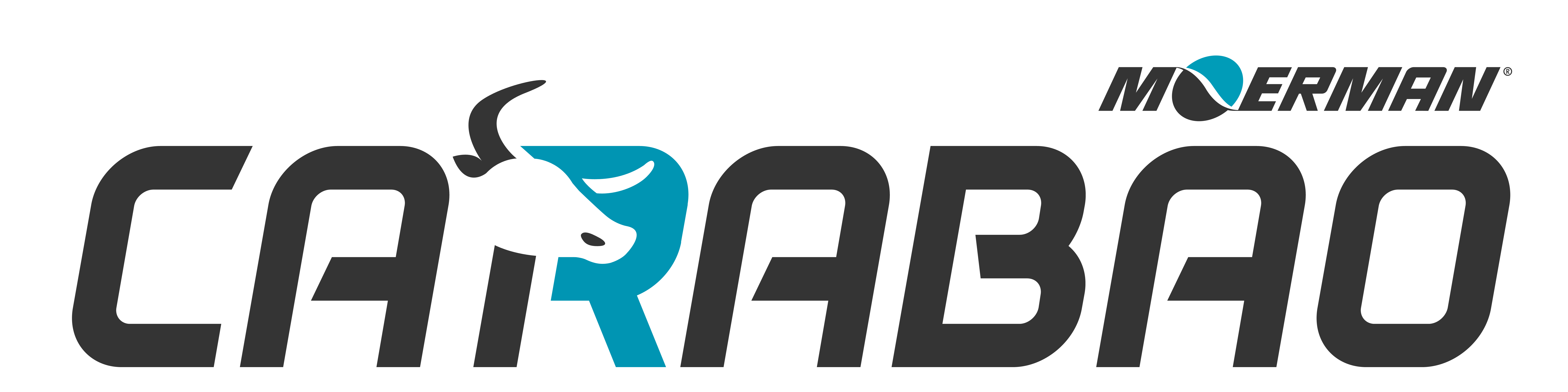 La Recherche De R ponses Carabao Moerman Group la-recherche-de-r-ponses-carabao-moerman-group